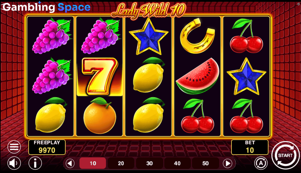 Lady Wild 10 – Screenshot 5