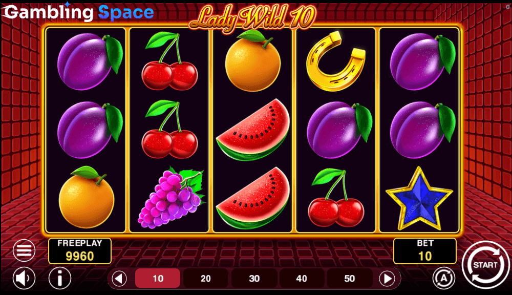 Lady Wild 10 – Screenshot 6