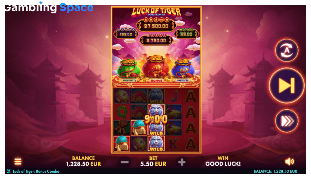Luck of Tiger: Bonus Combo – Screenshot 3