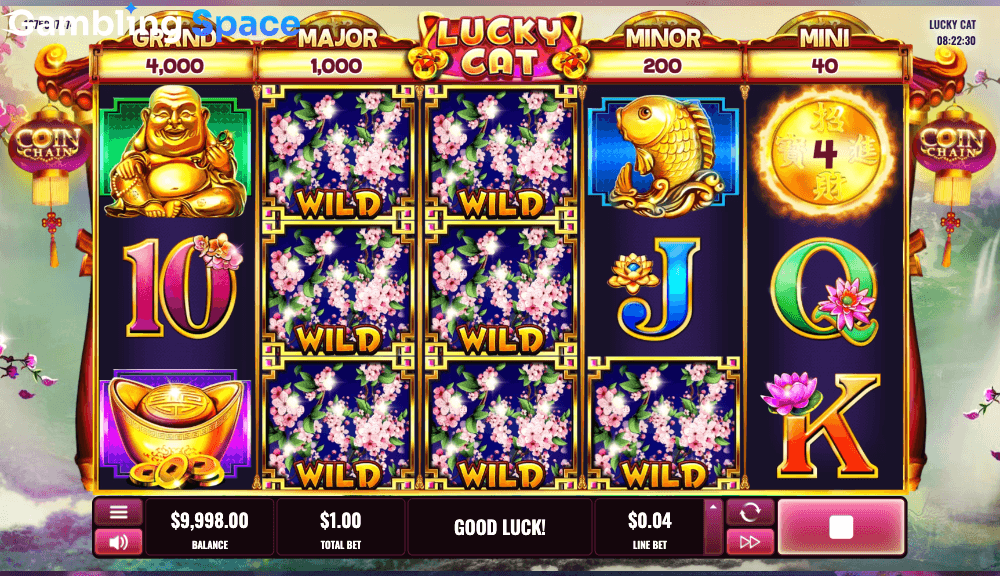 Lucky Cat – Screenshot 4