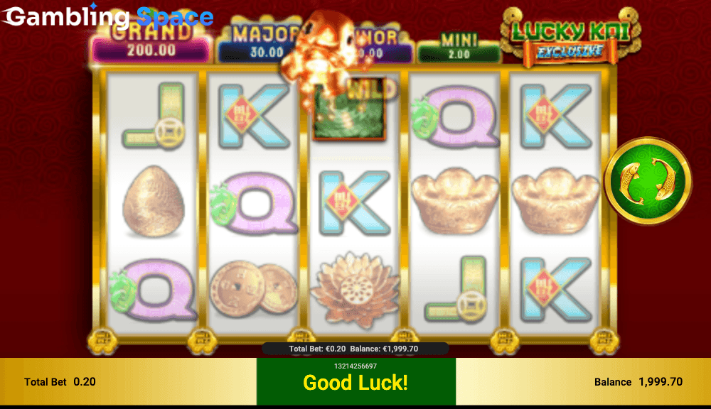 Lucky Koi Exclusive – Screenshot 5