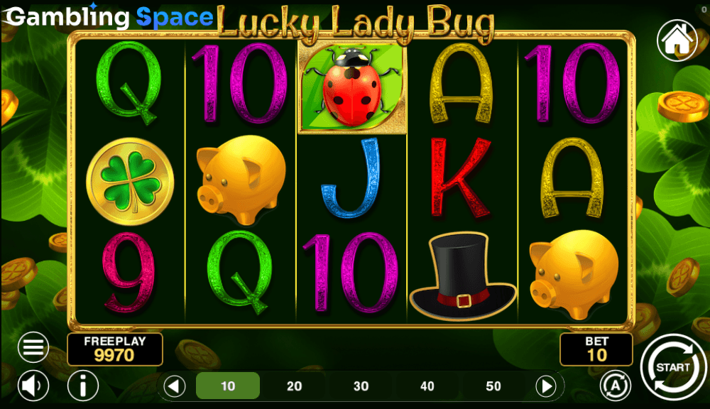 Lucky Lady Bug – Screenshot 5