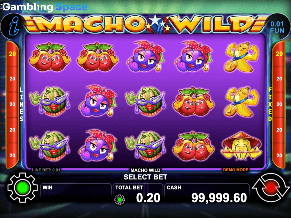 Macho Wild – Screenshot 4