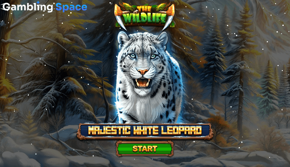 Majestic White Leopard – Screenshot 1