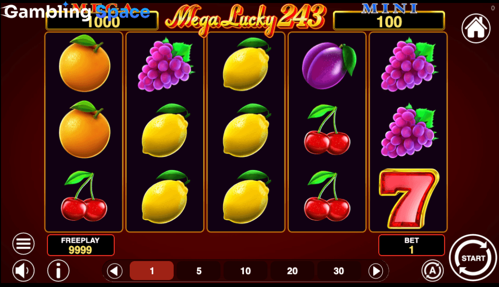 Mega Lucky 243 – Screenshot 3