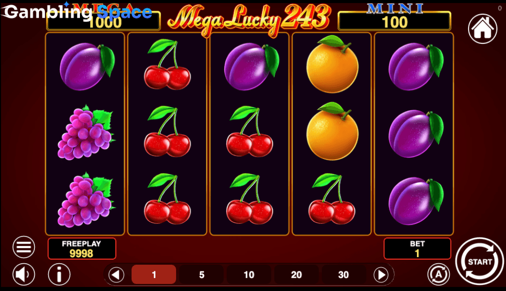Mega Lucky 243 – Screenshot 4
