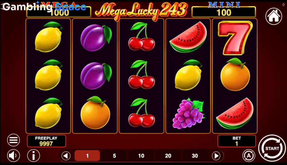 Mega Lucky 243 – Screenshot 5
