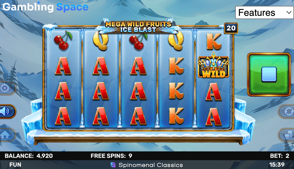 Mega Wild Fruits - Ice Blast – Screenshot 5
