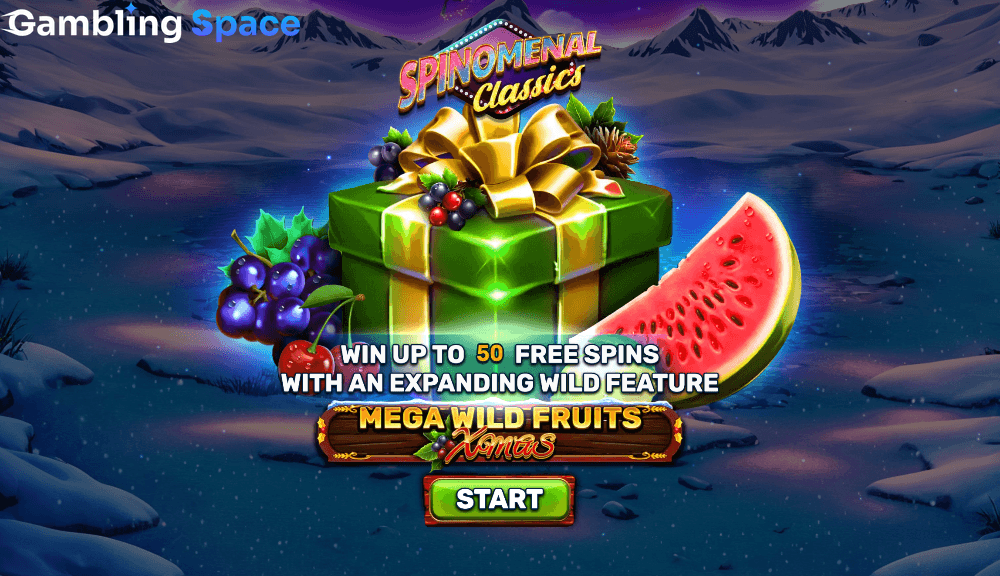 Mega Wild Fruits - Xmas – Screenshot 1