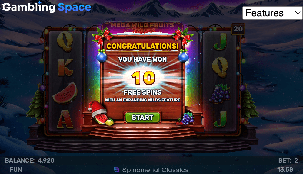 Mega Wild Fruits - Xmas – Screenshot 4