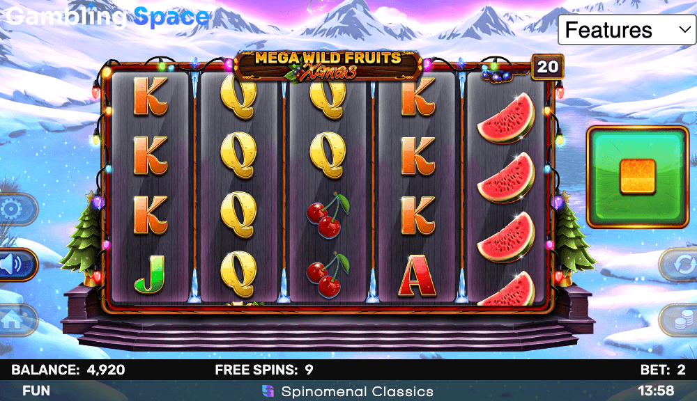 Mega Wild Fruits - Xmas – Screenshot 5