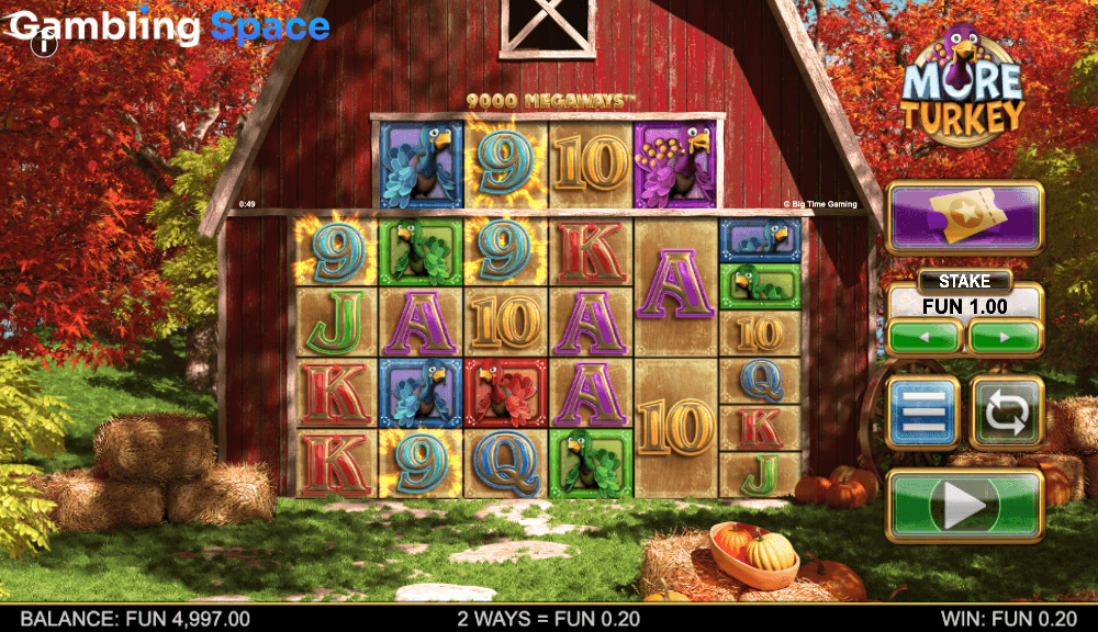 More Turkey – Screenshot 5