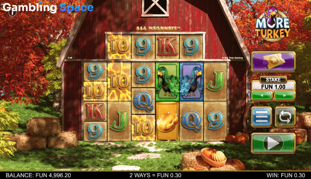 More Turkey – Screenshot 6
