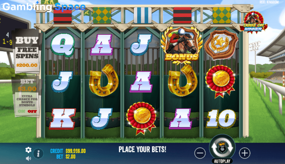 Odds On Winner – Screenshot 4
