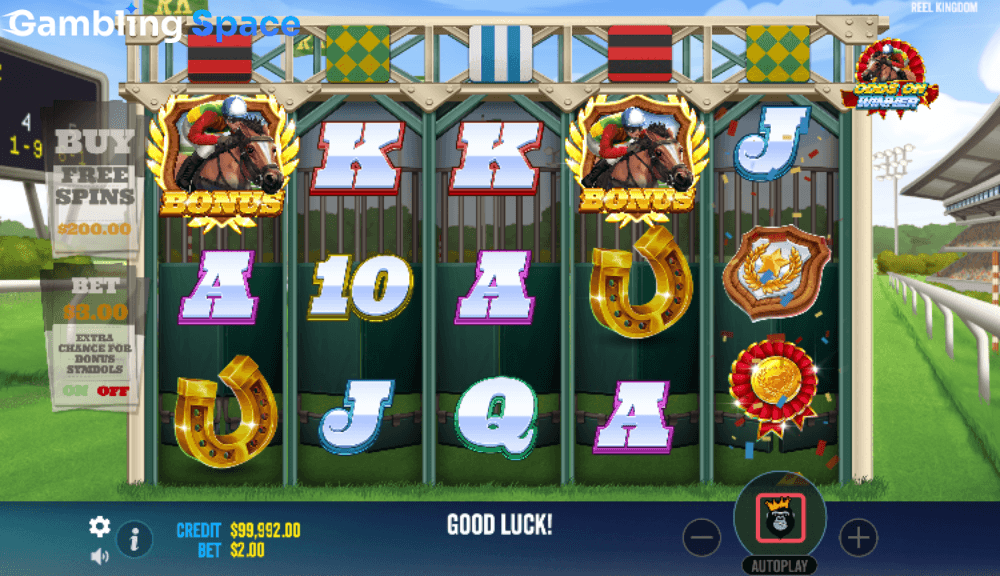 Odds On Winner – Screenshot 6