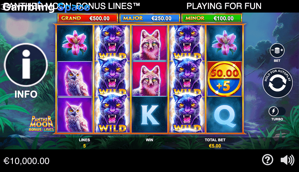 Panther Moon: Bonus Lines – Screenshot 3