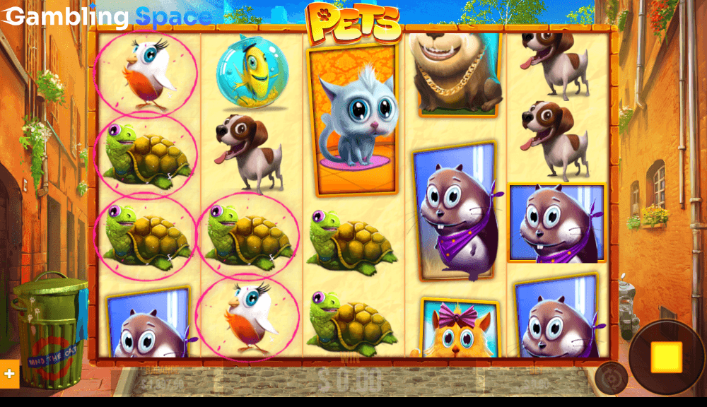 Pets – Screenshot 4