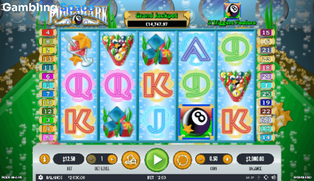 Pool Shark – Screenshot 1