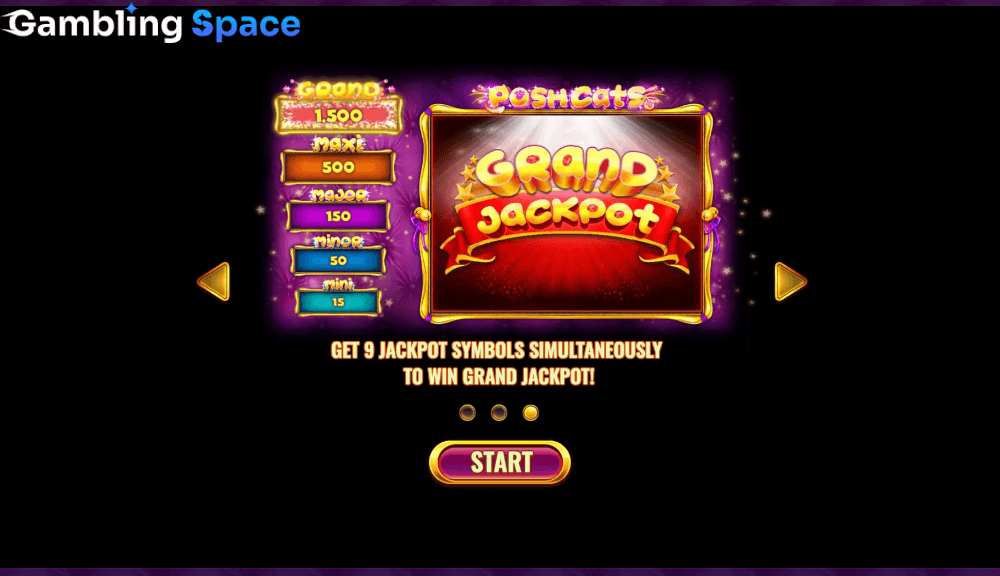 Posh Cats – Screenshot 1