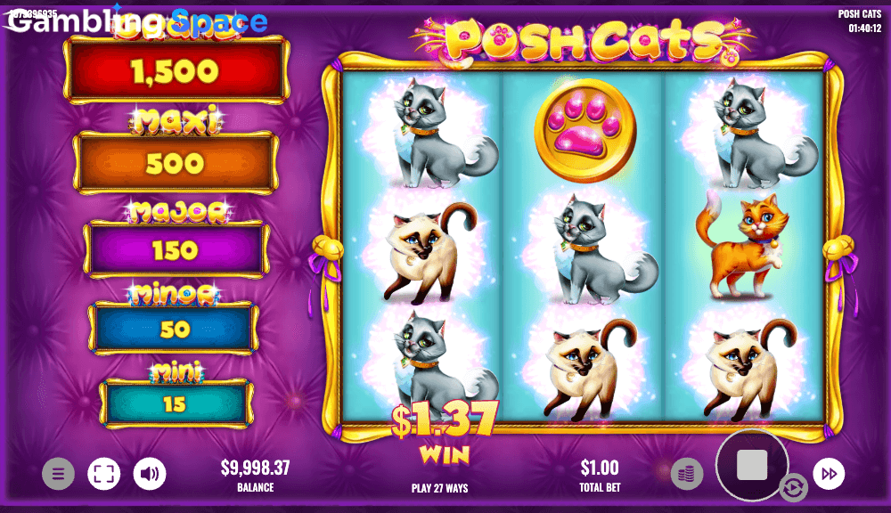 Posh Cats – Screenshot 5