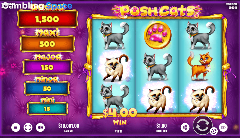 Posh Cats – Screenshot 6