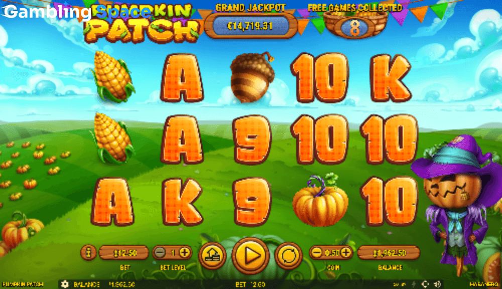 Pumpkin Patch – Screenshot 4