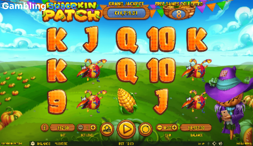 Pumpkin Patch – Screenshot 6
