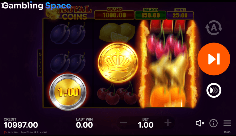 Royal Coins: Hold and Win – Screenshot 5