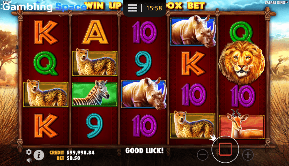 Safari King – Screenshot 6