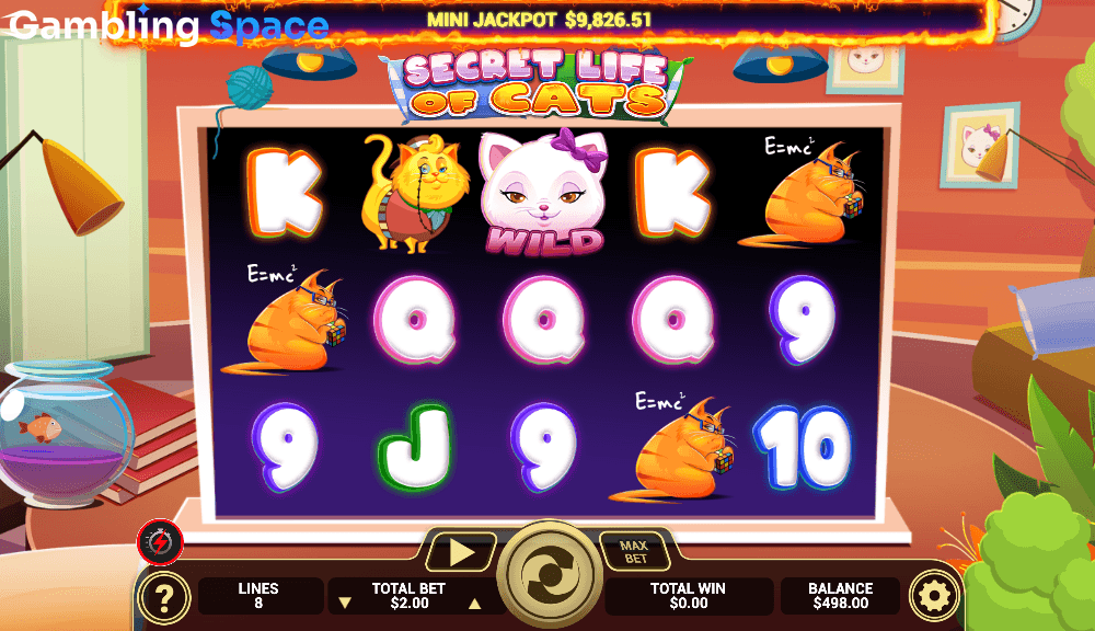 Secret Life of Cats – Screenshot 2