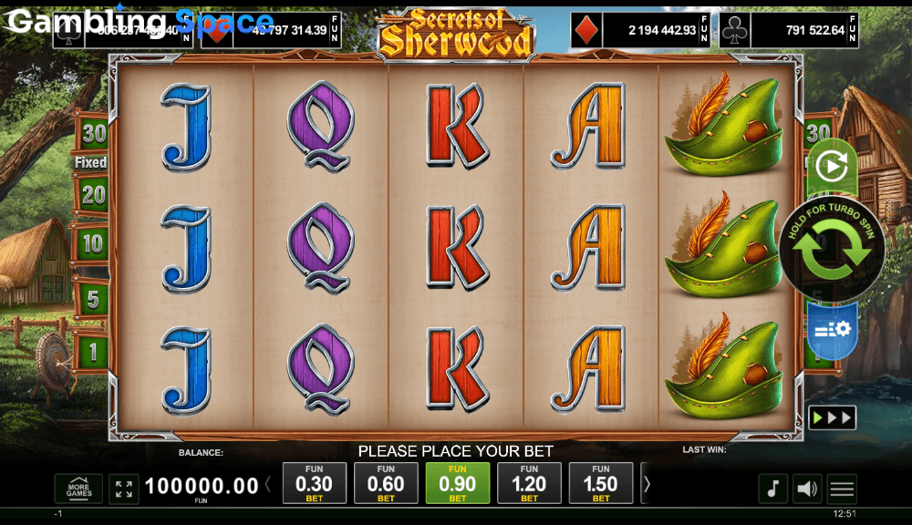 Secrets Of Sherwood – Screenshot 1
