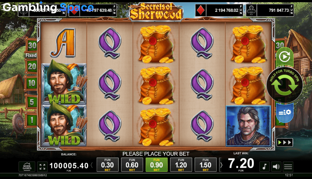 Secrets Of Sherwood – Screenshot 3
