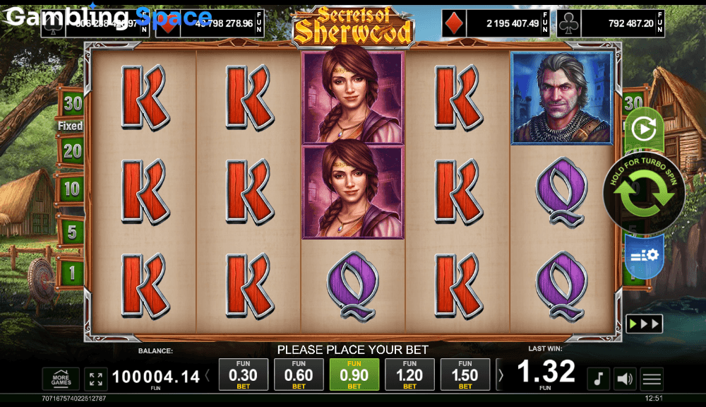 Secrets Of Sherwood – Screenshot 6