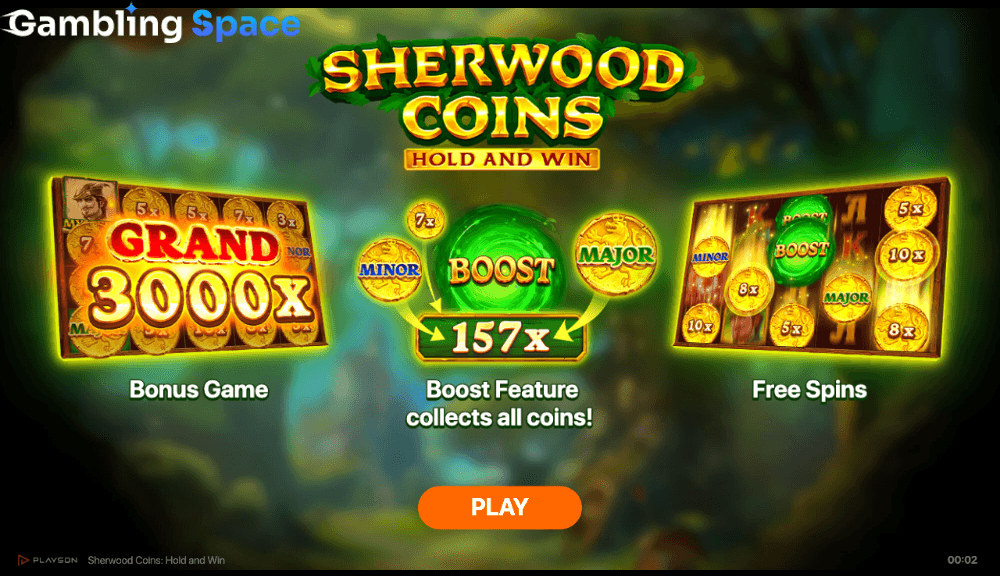 Sherwood Coins: Hold and Win – Screenshot 1