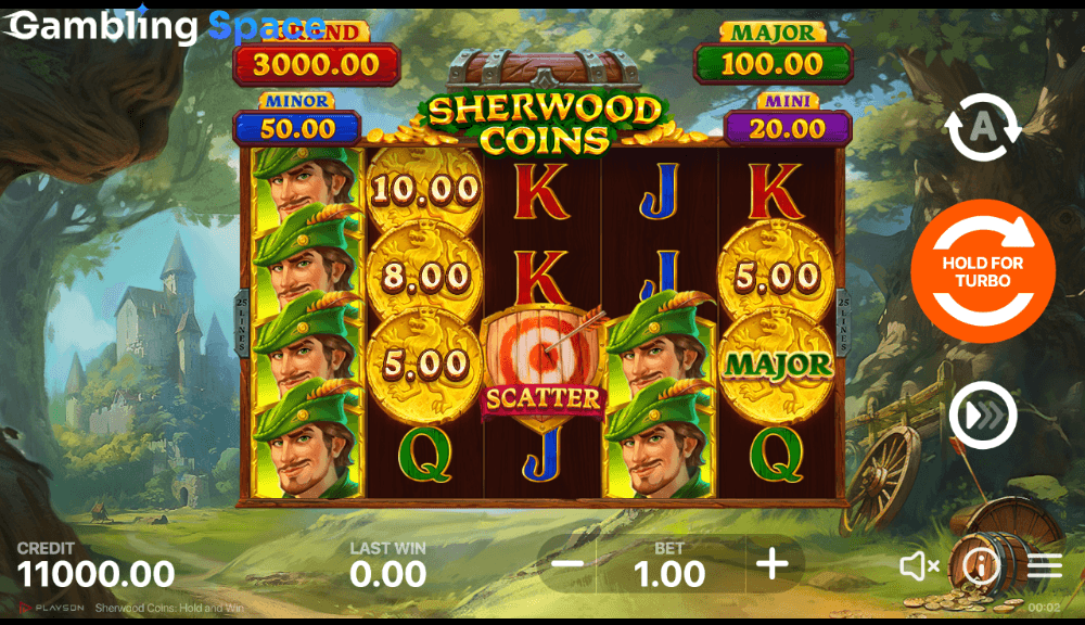 Sherwood Coins: Hold and Win – Screenshot 2