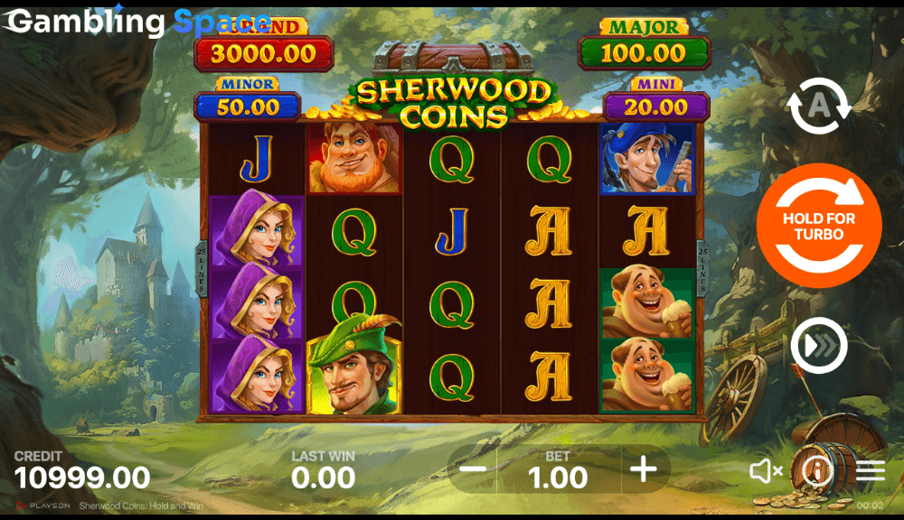 Sherwood Coins: Hold and Win – Screenshot 3