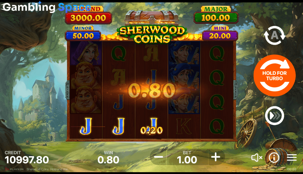 Sherwood Coins: Hold and Win – Screenshot 5
