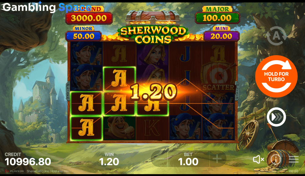 Sherwood Coins: Hold and Win – Screenshot 6