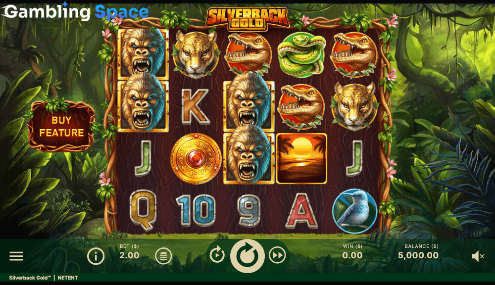 Silverback Gold – Screenshot 2
