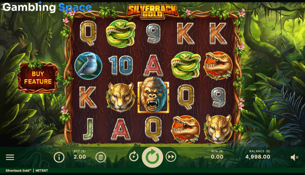 Silverback Gold – Screenshot 3