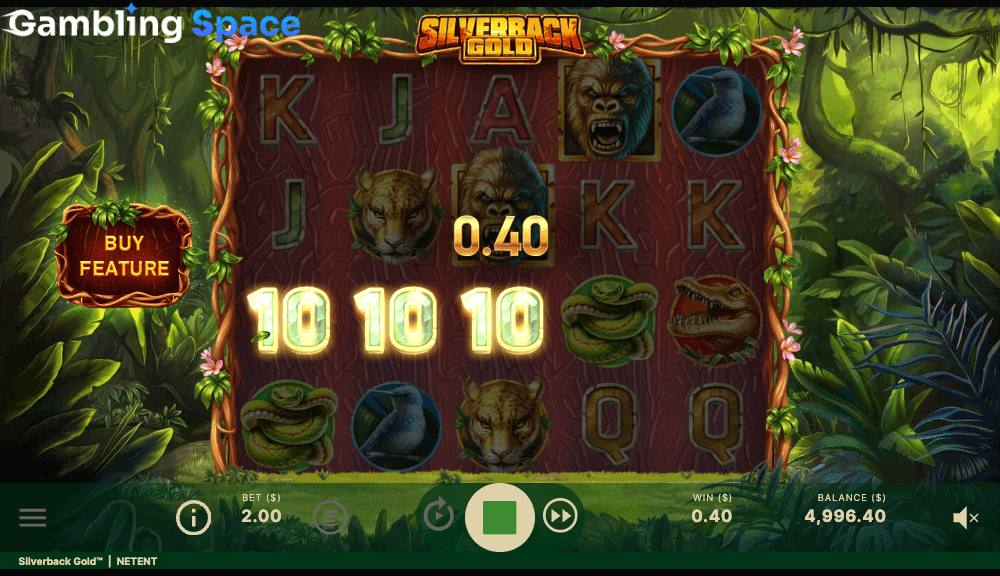 Silverback Gold – Screenshot 4