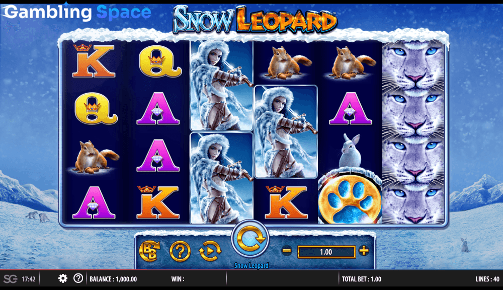 Snow Leopard – Screenshot 2