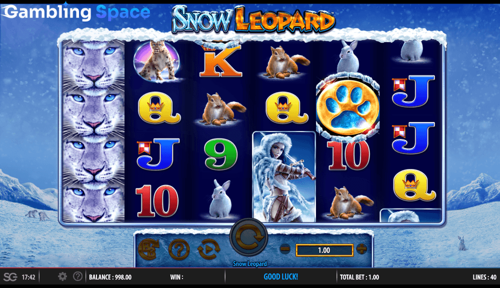 Snow Leopard – Screenshot 3