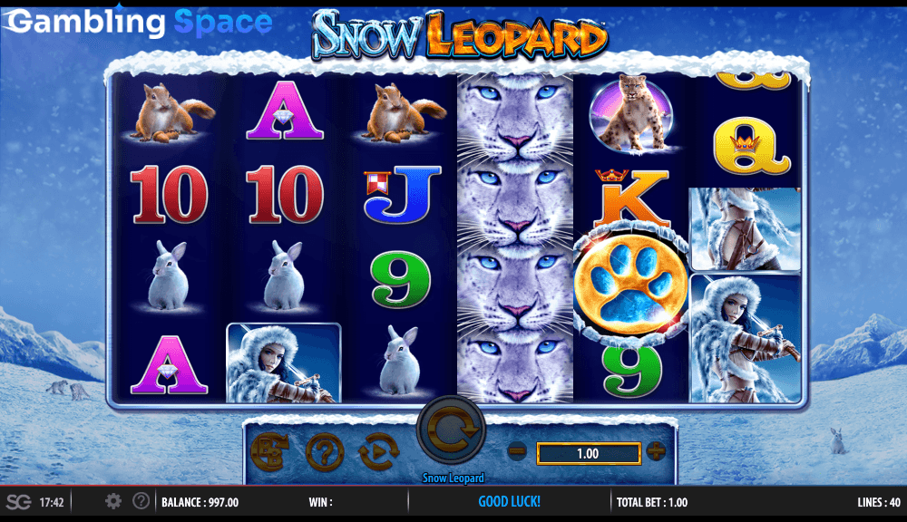 Snow Leopard – Screenshot 4