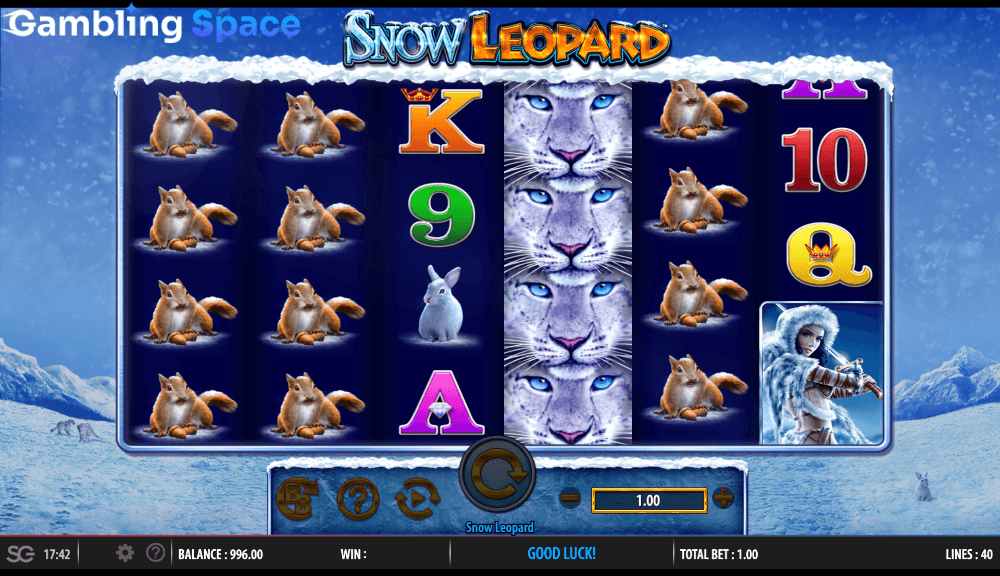 Snow Leopard – Screenshot 5