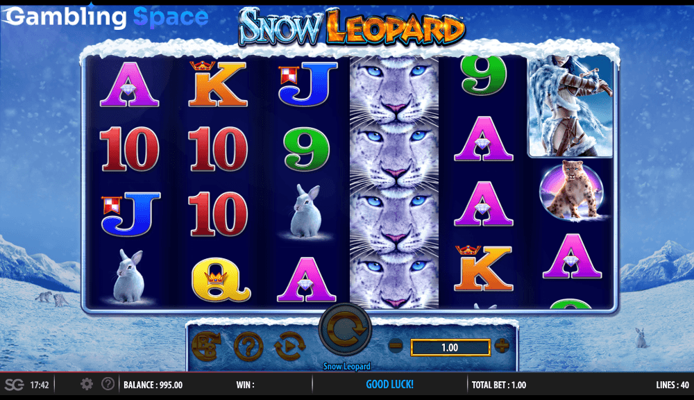 Snow Leopard – Screenshot 6