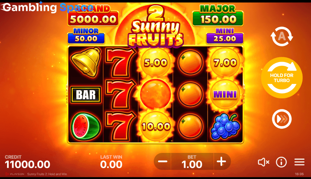 Sunny Fruits 2: Hold and Win – Screenshot 2