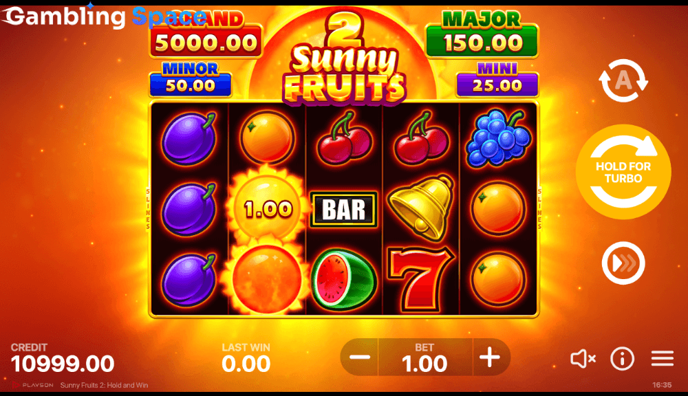 Sunny Fruits 2: Hold and Win – Screenshot 3