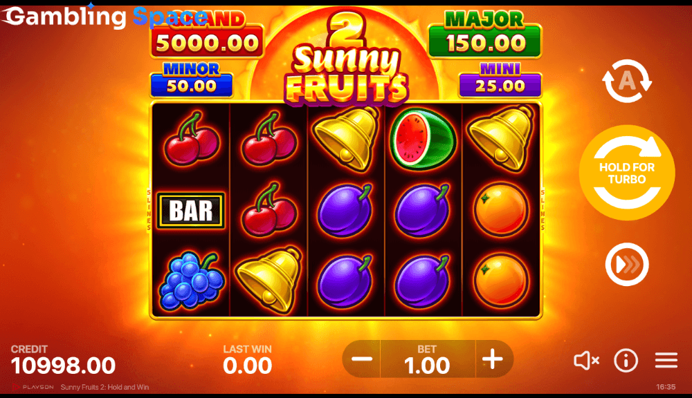 Sunny Fruits 2: Hold and Win – Screenshot 4