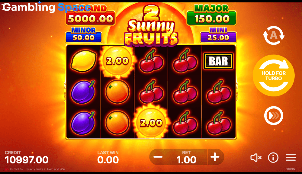 Sunny Fruits 2: Hold and Win – Screenshot 5